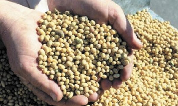 Бразилия. Цены на сою бьют рекорды