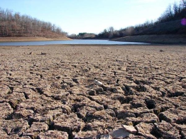 Изменение климата угрожает прежде всего зерновым культурам