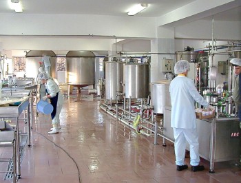 Новый молокозавод в Тюмени