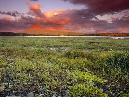 В Мордовии озимые культуры находятся в удовлетворительном состоянии