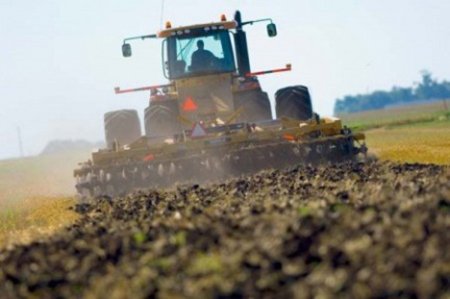 Недосчитались риса в Приморье