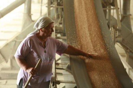 РФ может экспортировать 10 млн тонн пшеницы в 2011 году