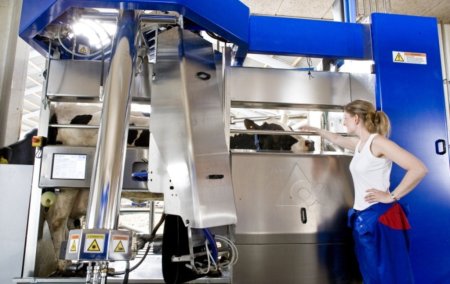 В Калужской области будут производить бесстрессовое молоко