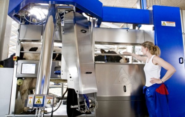 В Калужской области будут производить бесстрессовое молоко