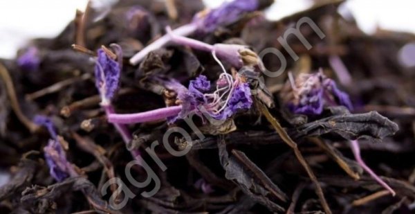 Иван- чай (Кипрей) ферментированный