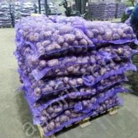 Продовольственный картофель
