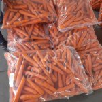 Морковь мытая импорт