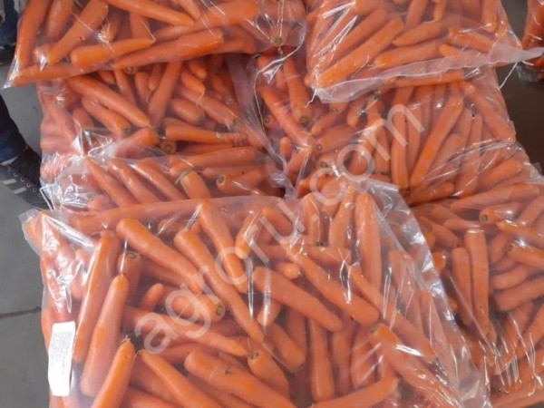 Морковь мытая импорт