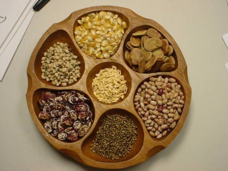 Обработка и протравливание семян