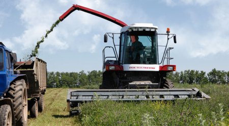 В Алтайском крае заготовлено более 4,6 тыс. тонн сена