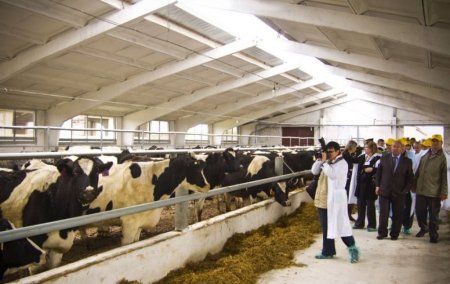 Фермеры Алатского района развивают животноводство