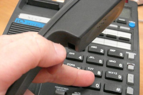 В донском Минсельхозпроде открылись сразу две Горячие линии