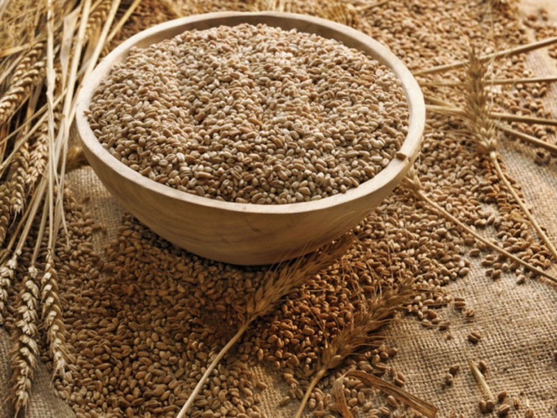 Недельный обзор мирового рынка пшеницы на 3 января 2011 года