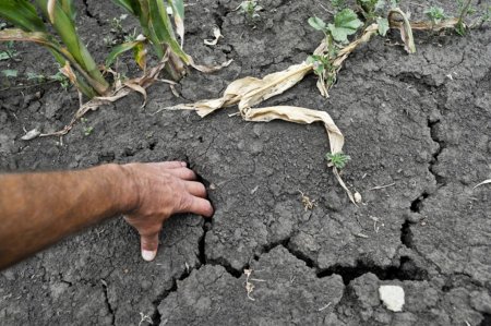 Башкирия потеряет часть урожая из-за засухи