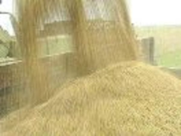 Стимулировать экспорт зерна