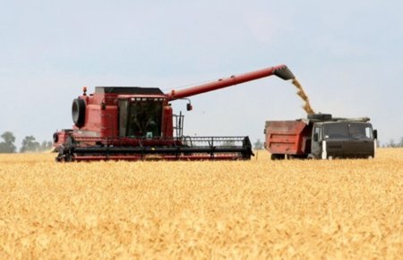 Зерновое эмбарго могут продлить до конца года?