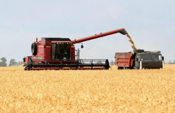 Зерновое эмбарго могут продлить до конца года?