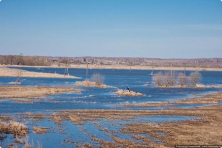Погода угрожает мировому производству пшеницы
