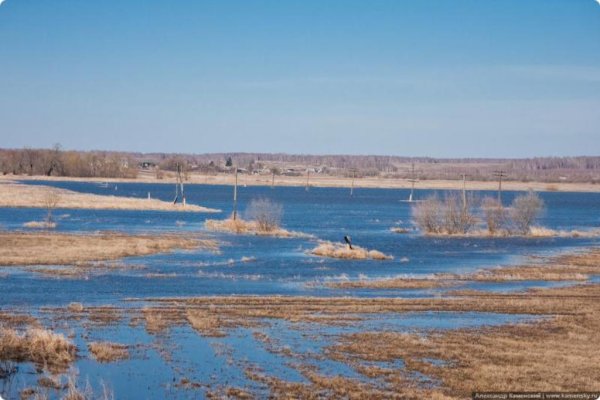 Погода угрожает мировому производству пшеницы