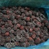Замороженные ягоды для пищевых производств, предприятий общественного питания и кулинарии