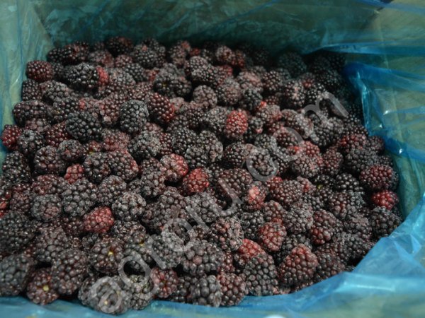 Замороженные ягоды для пищевых производств, предприятий общественного питания и кулинарии