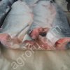 Рыбная продукция