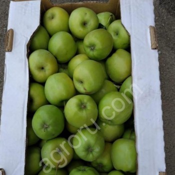 <span>яблоки</span> урожай от производителя
