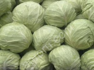 Капуста белокочанная