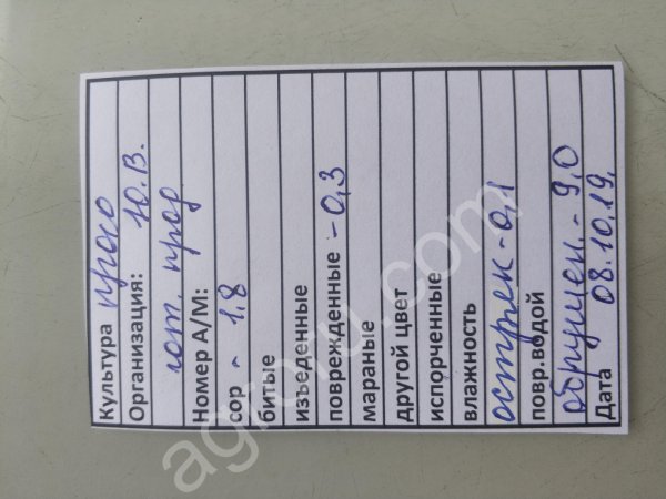 ПРОСО ЖЁЛТОЕ