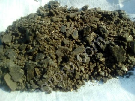 Шрот подсолнечный низкопротеиновый (протеин 20)