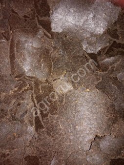 Жмых подсолнечный (низкопротеиновый)