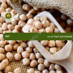 Семена нута АА Атлант (крупный)
