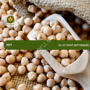 Семена нута АА Атлант (крупный)