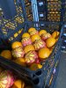 Апельсины оптом
