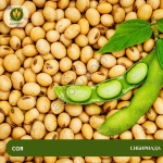 Семена сои Сибириада (ЭС)