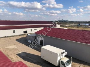 Прoизводственная хлaдобойня по убою КРС и МРС