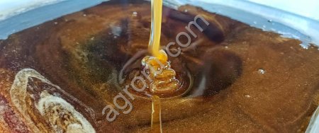 Гречишный мёд