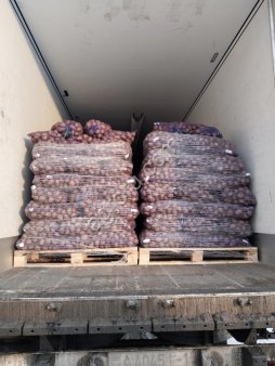 Картофель свежий РБ