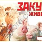 Лошадей , КРС. По всей территории РБ