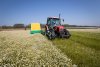 Комбайн по сбору цветов ромашки HERBAS KVH-2000E