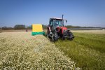 Комбайн по сбору цветов ромашки HERBAS KVH-2000E