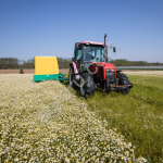 Комбайн по сбору цветов ромашки HERBAS KVH-2000E