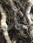 Корни купены лекарственной