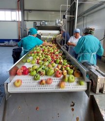 Линия производства фруктовых и овощных пюре