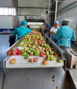 Линия производства фруктовых и овощных пюре