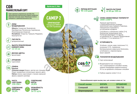 Семена сои САМЕР 2 (элита)