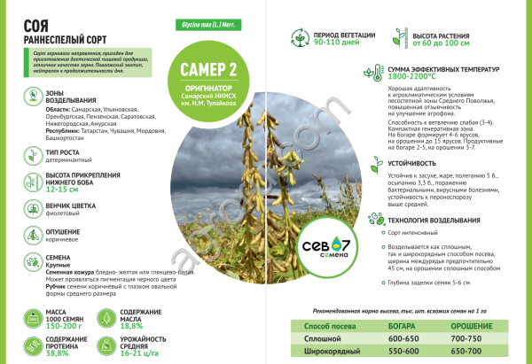 Семена сои САМЕР 2 (элита)