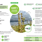 Семена сои САМЕР 2 (элита)