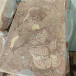 Требуха конская. Корм для собак