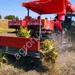 Чеснокоуборочный комбайн-связовка Broch